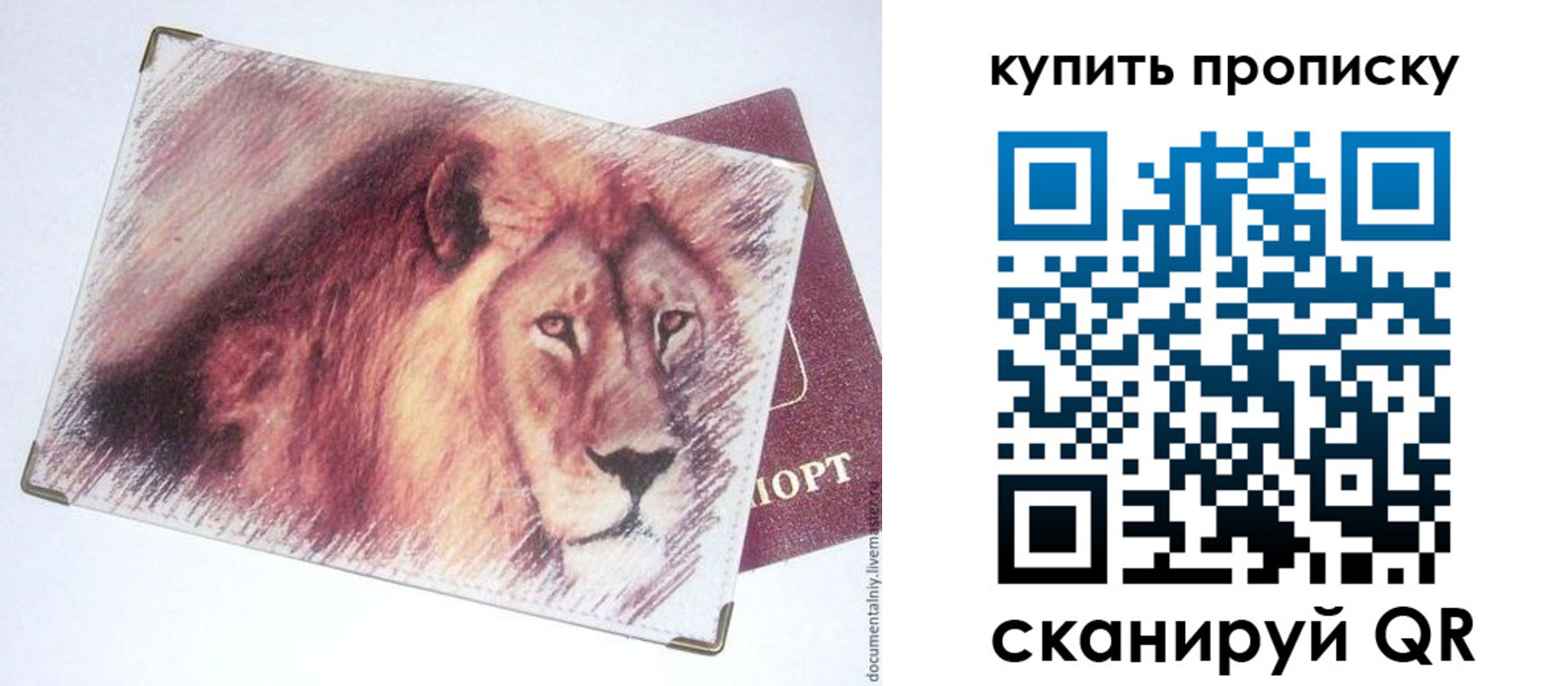 прописка паспорт в Касли